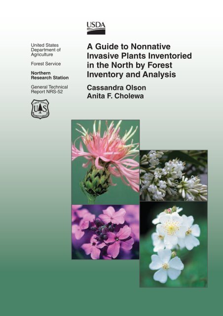 A guide to nonnative invasive plants inventoried in the north by ...