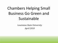 Sustainability for Small and Mid-Size Enterprise - Center for Energy ...