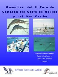 Tercer foro de camarÃ³n del Golfo de MÃ©xico y Mar Caribe - Inapesca