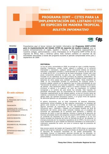 PROGRAMA OIMT â CITES PARA LA IMPLEMENTACIÃN ... - ITTO