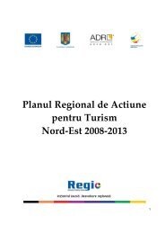 Planul Regional de Actiune pentru Turism Nord-Est 2008-2013