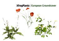 XfrogPlants | European Groundcover Library