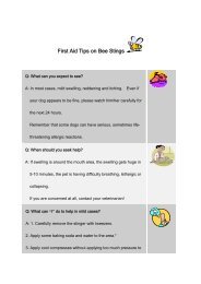 First Aid Tips on Bee Stings