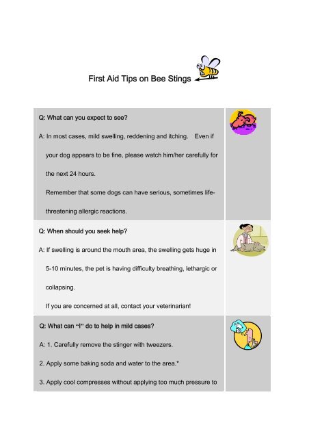 First Aid Tips on Bee Stings