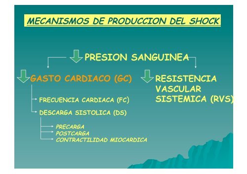 Presentacion Sock.pdf