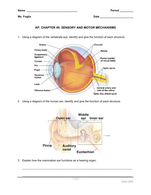 sensory and motor mechanisms - Explore Biology