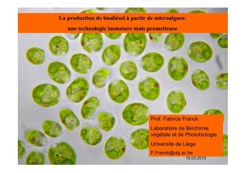 Biocarburant microalgues 100310 - ValBiom