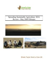 Ethiopia SOA Exec Sum.pdf - Send a Cow