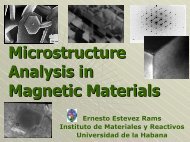 Microstructure Analysis in Magnetic Materials