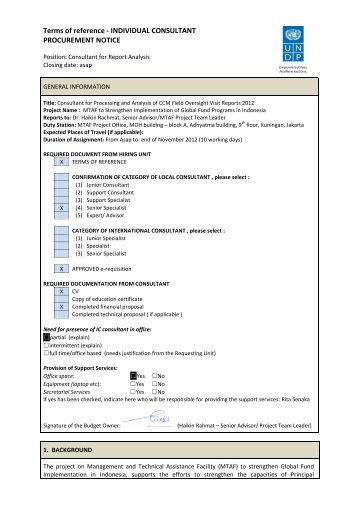 Terms of reference - INDIVIDUAL CONSULTANT ... - UNDP