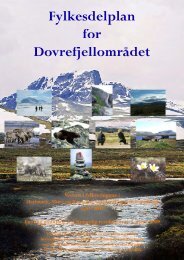 Fylkesdelplan for DovrefjellomrÃ¥det - MÃ¸re og Romsdal ...