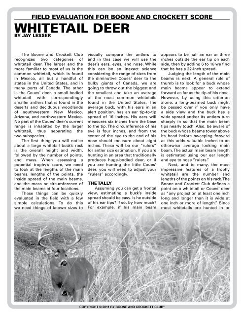 The Scoring & Field-Judging of the White-tailed Buck