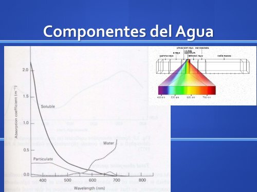 La luz en el océano