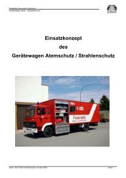 Einsatzkonzept GW-AS Stand 04-2005.pdf - ABC-Einsatzhandbuch