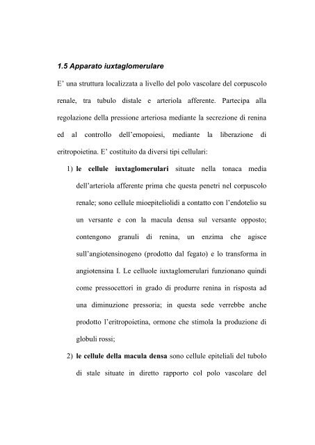 ANATOMIA DELL'APPARATO URINARIO - Casettagiovanni.it