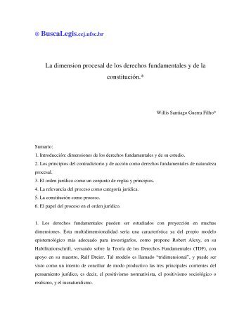 La dimension procesal de los derechos fundamentales y de la ...