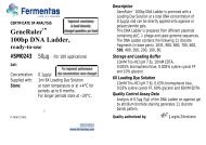 GeneRulerâ¢ 100bp DNA Ladder, ready-to-use, #SM0243