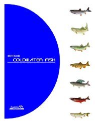 COLDWATER FISH - Manitoba Forestry Association