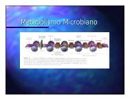 Metabolismo Microbiano