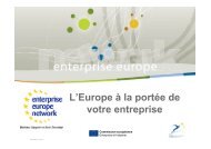 L'Europe à la portée de votre entreprise - pic2europe.fr