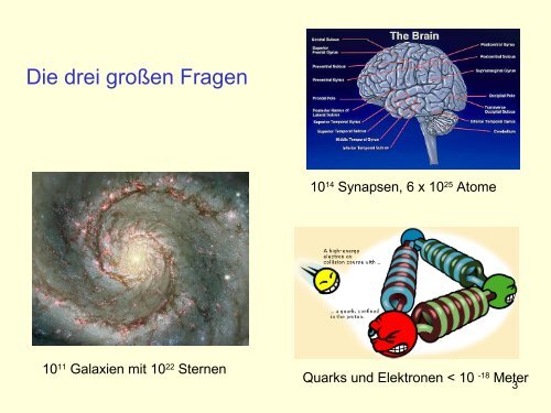 Das Standardmodell der Elementarteilchen