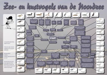 Zee- en kustvogels van de Noordzee - Provincie West-Vlaanderen