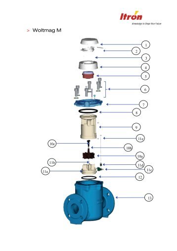 Woltmag M - Itron