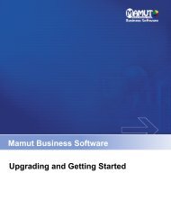 Upgrading and Getting Started guide - Mamut