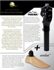 K2 Above Knee Package