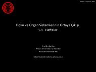 Doku ve OrganlarÄ±n GeliÅimi - Ankara Ãniversitesi TÄ±p FakÃ¼ltesi
