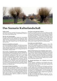 Das Szenario Kulturlandschaft (PDF) - Oderbruchpavillon