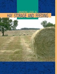 Minimizing Losses in Hay Storage and Feeding - MSUcares