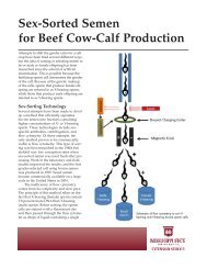 P2569 Sex-Sorted Semen for Beef Cow-Calf Production - MSUcares