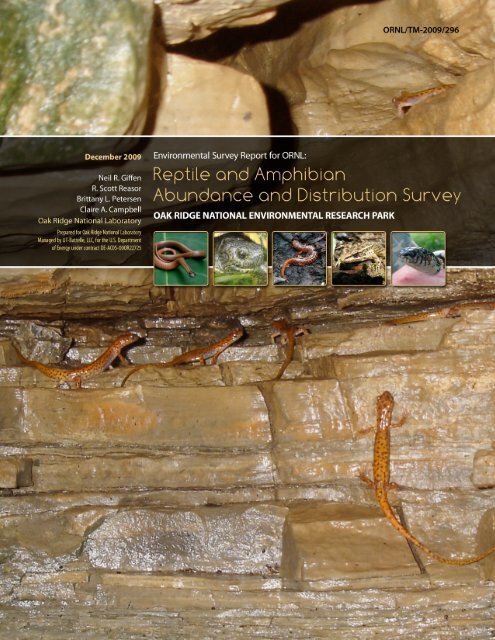Reptile and Amphibian Abundance and Distribution Survey - Oak ...