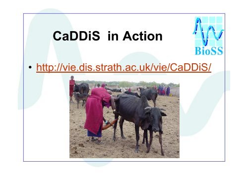 CaDDiS A Diagnostic Tool for African Cattle Diseases