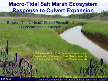 Macro-Tidal Salt Marsh Ecosystem Response to Culvert Expansion