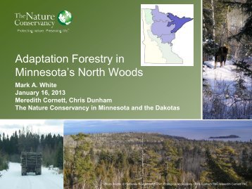 Adaptation Forestry in Minnesota's North Woods - University of ...
