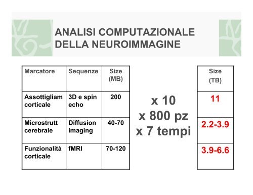 NEUROANATOMIA COMPUTAZIONALE: incrocio tra ... - Garr