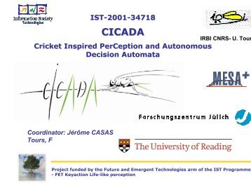 Cricket Inspired PerCeption and Autonomous Decision Automata