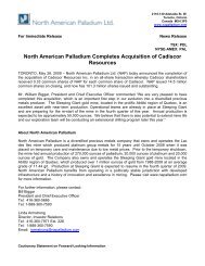 North American Palladium Completes Acquisition of Cadiscor ...