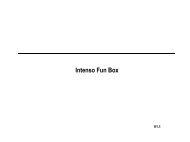 Intenso Fun Box