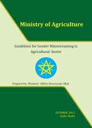 MOA Gender Mainstreaming Guidelines