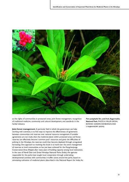 Identification and Conservation of Important Plant Areas - Plantlife