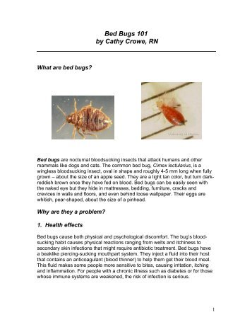 Bed Bugs 101 by Cathy Crowe, RN