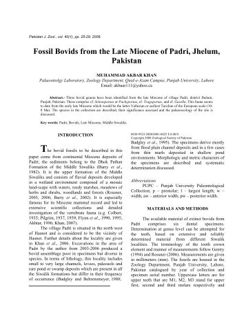 Fossil Bovids from the Late Miocene of Padri, Jhelum ... - Zsp.com.pk