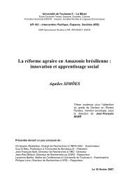 La réforme agraire en Amazonie brésilienne - Universidade Federal ...