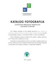 Katalog fotografija zaÅ¡tiÄenih prirodnih vrijednosti ... - Natura Jadera