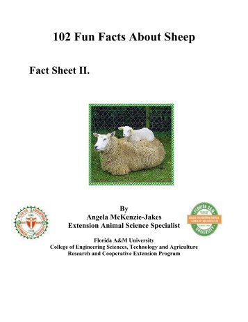 102 Fun Facts About Sheep - Florida A&M University