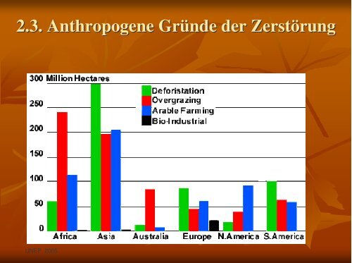 Ausbreitung und Ursachen der WÃ¼stenbildung: Geographische und ...