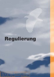 Regulierung - Mp3